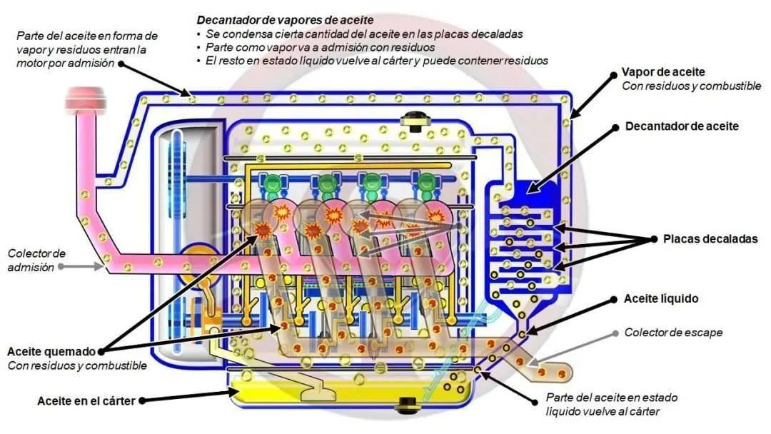 Con decantador de vapores menos consumo de aceite Con decantador de vapores menos consumo de aceite