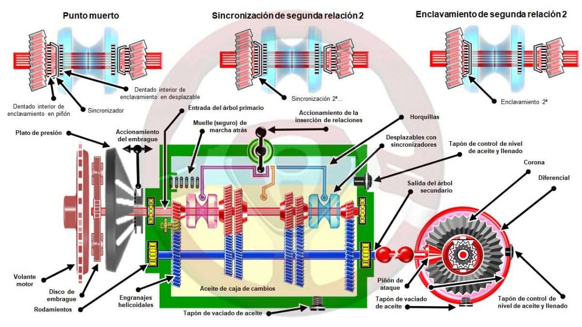 Descripción de caja de cambios manual; engranajes en dos ejes y diferencial separado 