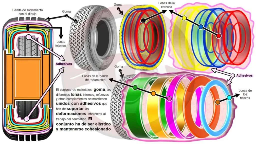 Estructura del neumático