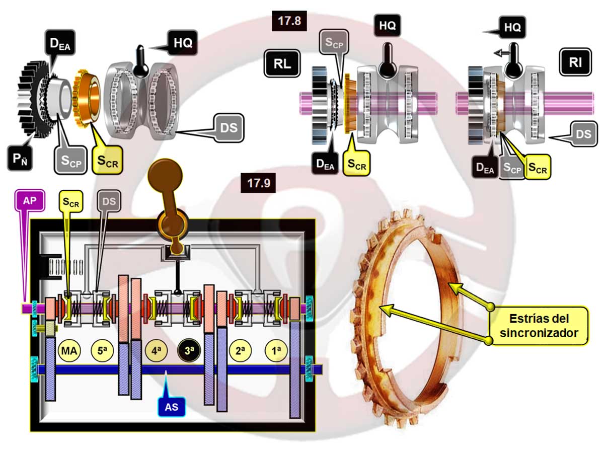 Detalle de los sincronizadores